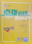 2025年點撥訓練九年級化學下冊人教版山西專版