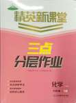 2025年精英新課堂九年級化學下冊人教版