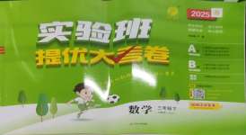 2025年實驗班提優大考卷三年級數學下冊人教版