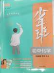 2025年少年班九年級(jí)化學(xué)下冊(cè)人教版