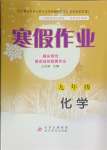 2025年寒假作業(yè)九年級化學(xué)北京教育出版社