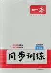 2025年一本同步訓練八年級初中數(shù)學下冊人教版