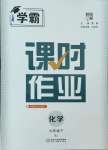 2025年经纶学典课时作业九年级化学下册人教版