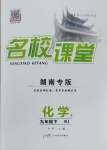 2025年名校課堂九年級化學下冊人教版湖南專版