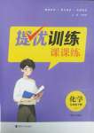 2025年金鑰匙提優(yōu)訓(xùn)練課課練九年級(jí)化學(xué)下冊(cè)滬教版徐州專版