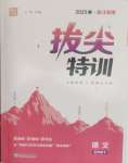 2025年拔尖特訓(xùn)五年級語文下冊人教版浙江專版