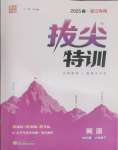 2025年拔尖特訓(xùn)六年級(jí)英語(yǔ)下冊(cè)人教版浙江專(zhuān)版