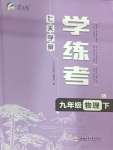 2025年七天學(xué)案學(xué)練考九年級物理下冊人教版