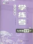 2025年七天學案學練考九年級化學下冊人教版