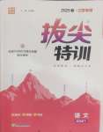 2025年拔尖特訓(xùn)四年級語文下冊人教版江蘇專版