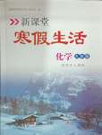 2025年新課堂寒假生活九年級化學人教版