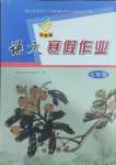 2025年寒假作業(yè)長春出版社七年級語文