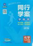 2025年同行學(xué)案學(xué)練測九年級化學(xué)下冊人教版