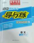 2025年初中同步学习导与练导学探究案九年级语文下册人教版