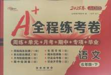 2025年A加全程練考卷六年級(jí)語(yǔ)文下冊(cè)人教版