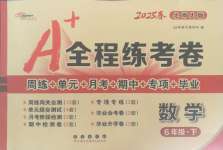 2025年A加全程練考卷六年級數學下冊北師大版