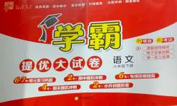 2025年學霸提優大試卷六年級語文下冊人教版