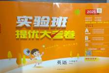 2025年實驗班提優大考卷六年級英語下冊譯林版