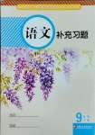 2025年補充習(xí)題江蘇九年級語文下冊人教版