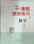 2025年寒假綜合練習三年級數學人教版