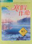 2025年寒假作業黃山書社九年級數學滬科版