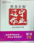 2025年遼寧作業(yè)分層培優(yōu)學(xué)案九年級物理下冊人教版