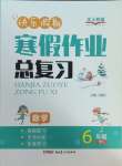 2025年快樂假期寒假作業(yè)總復習新疆青少年出版社六年級數(shù)學人教版