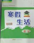 2025年寒假生活安徽教育出版社九年級化學(xué)人教版