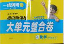 2025年一線(xiàn)調(diào)研單元整合卷九年級(jí)化學(xué)全一冊(cè)人教版