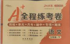2025年A加全程練考卷三年級語文下冊人教版