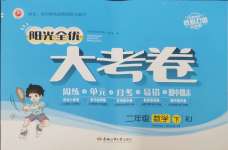 2025年陽光全優大考卷二年級數學下冊人教版