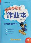 2025年黄冈小状元作业本六年级数学下册苏教版