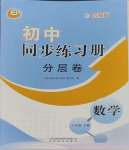 2025年同步練習(xí)冊(cè)分層卷八年級(jí)數(shù)學(xué)下冊(cè)魯教版54制