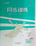 2025年一飛沖天同步訓(xùn)練九年級(jí)化學(xué)下冊(cè)人教版