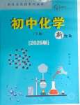 2025年新視角教輔系列叢書化學(xué)九年級(jí)下冊(cè)人教版