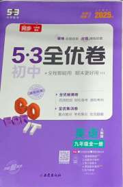 53全优卷九年级英语人教版