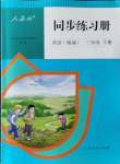 2025年同步練習(xí)冊人民教育出版社三年級英語下冊人教精通版新疆專版