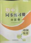 2025年同步练习册分层卷七年级历史下册人教版