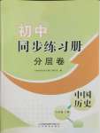 2025年同步練習(xí)冊(cè)分層卷八年級(jí)歷史下冊(cè)人教版