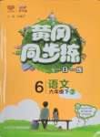 2025年黃岡同步練一日一練六年級(jí)語(yǔ)文下冊(cè)人教版