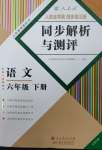 2025年人教金學(xué)典同步解析與測(cè)評(píng)六年級(jí)語(yǔ)文下冊(cè)人教版云南專(zhuān)版