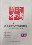 2025年湖北中考初中學(xué)業(yè)水平考試總復(fù)習(xí)語(yǔ)文