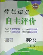 智慧课堂自主评价三年级英语人教版