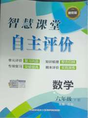 智慧课堂自主评价六年级数学