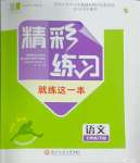2025年精彩练习就练这一本七年级语文下册人教版评议教辅