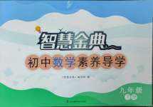 2025年智慧金典素養導學九年級數學下冊蘇科版