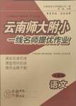 2025年云南師大附小一線名師提優(yōu)作業(yè)六年級(jí)語(yǔ)文下冊(cè)人教版