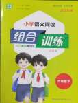 2025年通城學典組合訓練六年級語文下冊人教版浙江專版