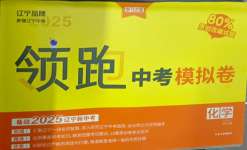 2025年領跑中考模擬卷化學遼寧專版