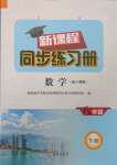 2025年新課程同步練習冊八年級數學下冊人教版